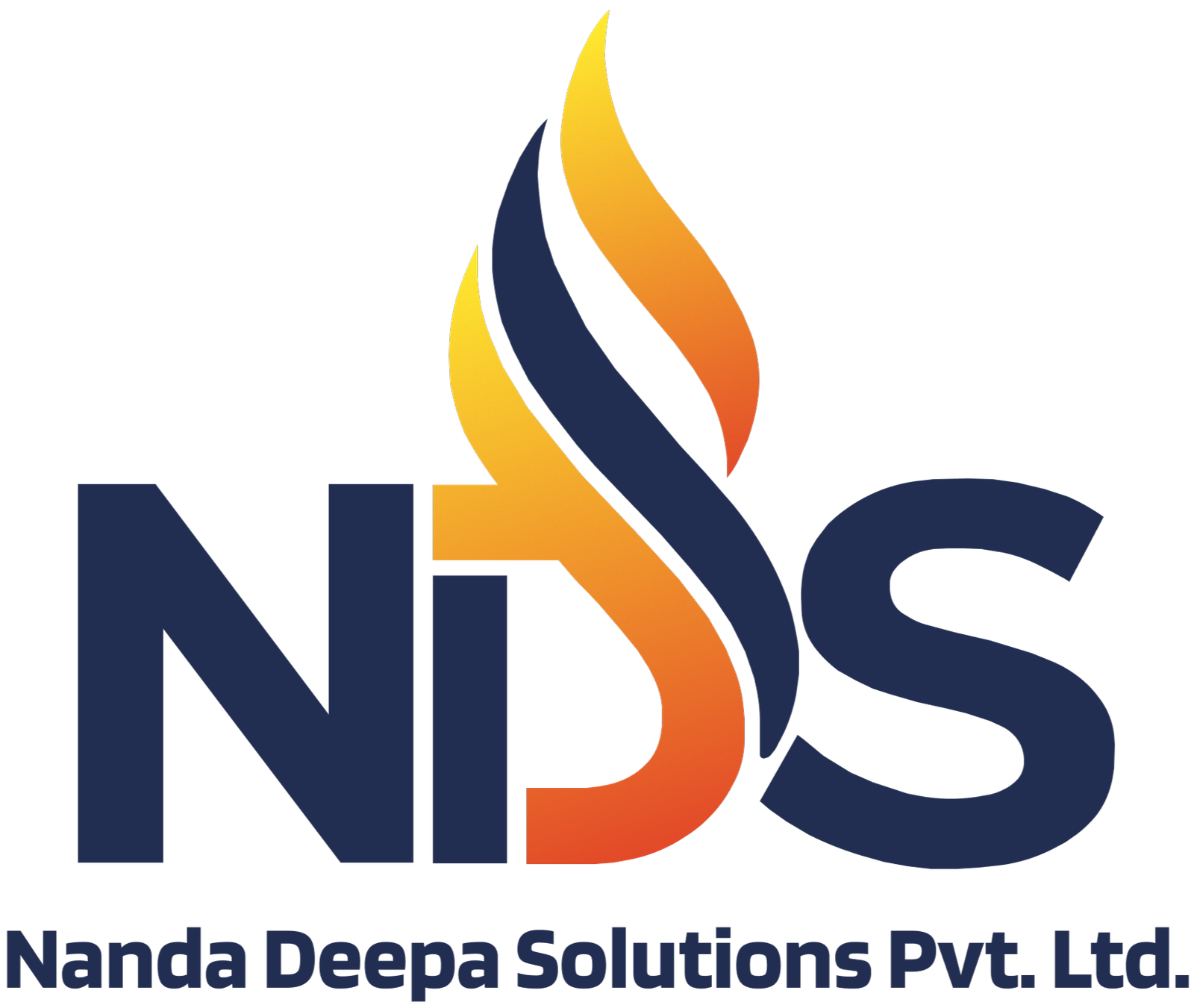 NDS Logo